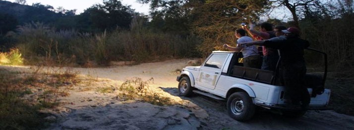 2228/The Kikar Lodge - Kangar 23.jpg